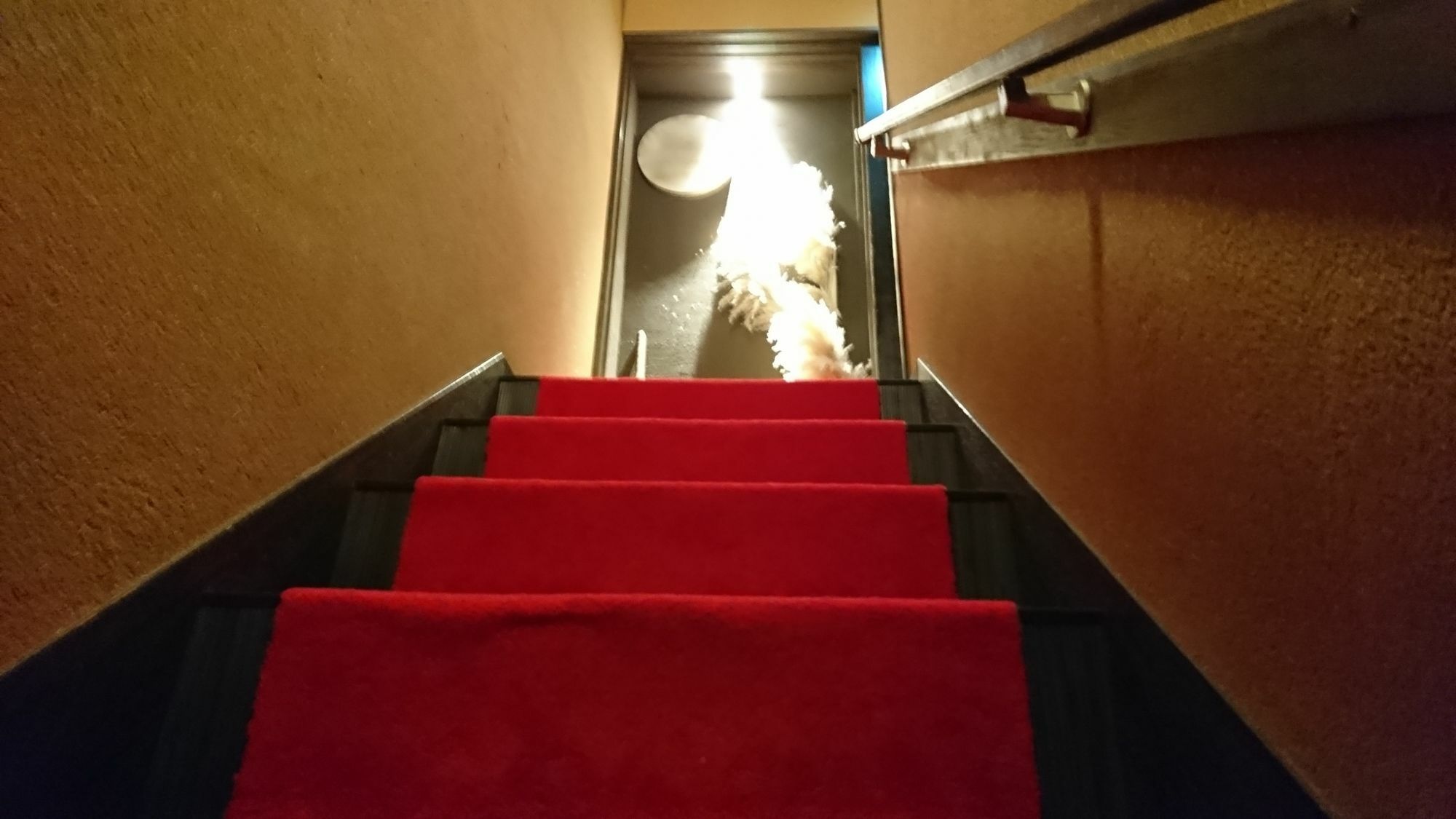 Hotel Yadoya Kioto Zewnętrze zdjęcie